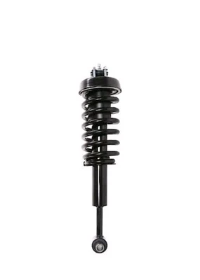 Carquest 28-715023 Strut Assembly 2002-03 Ford Explorer 2002-03 Mercury Mountain - Image 1 of 3