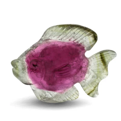 Wert 1.250 Euro Turmalin 7,65 carat Wassermelonen-Turmalin Fisch - Bild 1 von 2