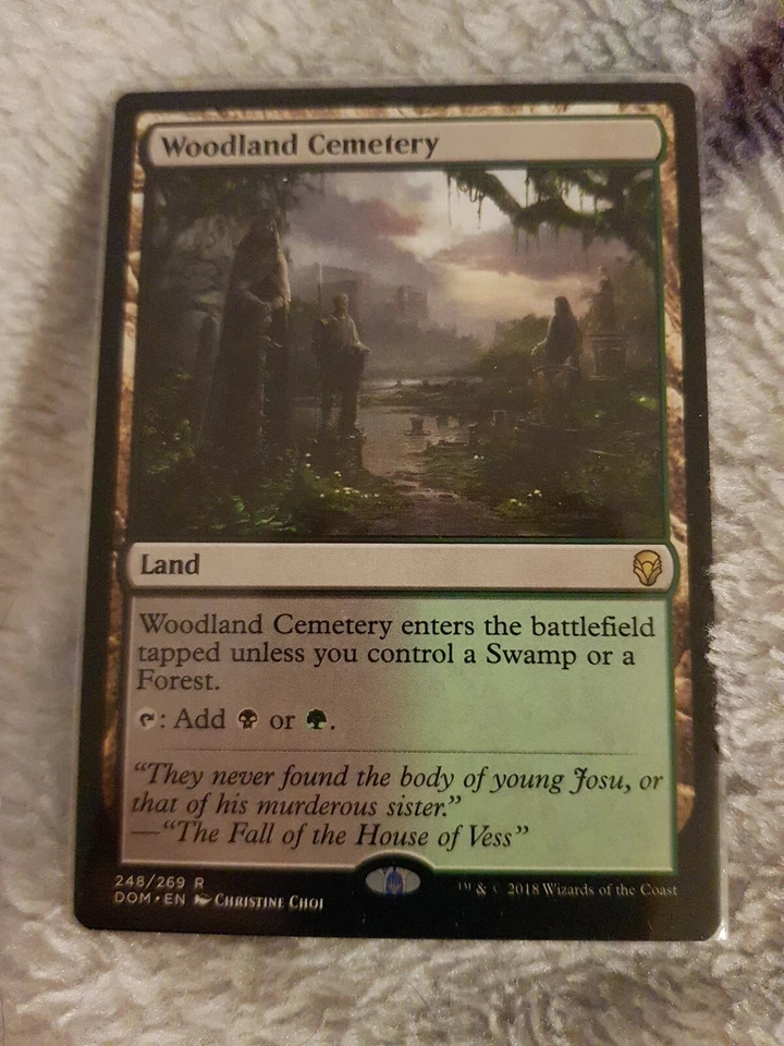 1x MTG Magic The Gathering TCG Woodland Cemetery Land - Dominaria - Image 1 of 1