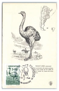 Argentina Stamp & Postmark 1960 NANDÚ (Rhea) Postcard - Picture 1 of 2
