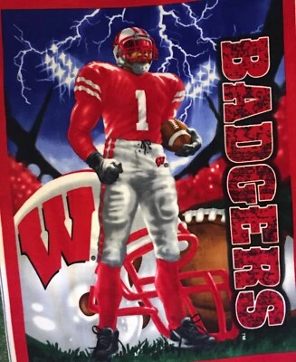 NCAA COLLEGE WISCONSIN BADGERS FLEECE PANEL FOR BLANKETS, CRAFTS, WALL HANGINGS - Image 1 of 4