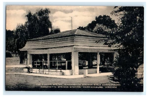 Postkarte VA Harrisonburg Massanetta Springs Bibelkonferenzen Quellen Artvue - Bild 1 von 2
