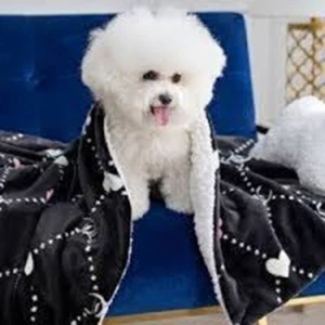 Juicy Couture Black Plush Throw Blanket with a 12 x 8 x 3 Bone Shape Pillow - Picture 1 of 6