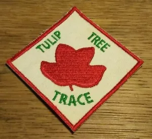 Vintage Boy Scout BSA Tulip Tree Trace Trail Patch - Picture 1 of 4