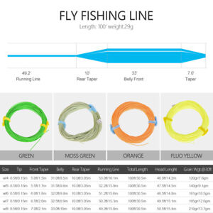 Floating Fly Lines Maximumcatch 100FT Weight Forward Floating Fly Fishing Line