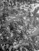 WWII photo US soldiers inspecting Japanese prisoners of war Busan world war 23b