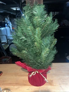 National Tree Company Pre-lit Artificial Mini Christmas Tree w Lights NIB Xmas - Picture 1 of 5