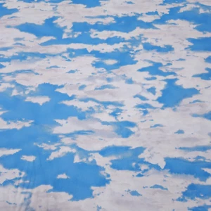 32" Our National Parks Ivy Lane Quilting Treasures Blue White Cloudy Sky - Picture 1 of 3