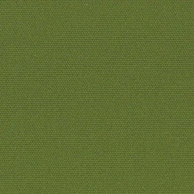 SUNBRELLA 5421 LONA VERDE PALMA EXTERIOR INTERIOR TELA MULTIUSOS POR YARDA 54"W Foto 1 de 3