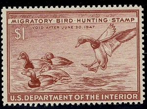 US Duck Stamp Scott #RW13 VF MNH - Picture 1 of 2