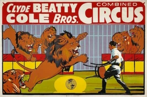 Lion Tamer Clyde Beatty Cole Bros. Combined Circus Poster 28” X 42” Spectacular! - Picture 1 of 12