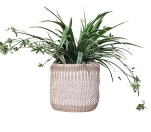 African Kiondo Basket Woven Sisal Storage Planter Kenyan Made Size 8 in /20.3 cm - Picture 1 of 10