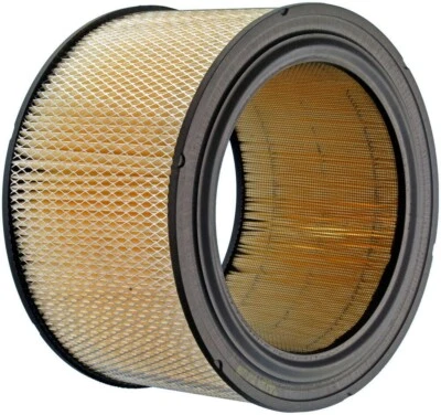 Filtro de aire ACDELCO A1092CF para 85 Ford LN800 L800 90 FT800 F700 V8 gas Foto 1 de 3