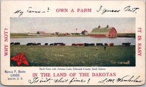 c1900s IPSWICH, South Dakota Land Advertising Postcard SOWN A FARM IN THE DAKOTAS - Bild 1 von 2