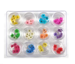 12 Colors Nail Dried Flowers 3D Nail Art Sticker, Natural Real Dry Flower, Nail - Picture 1 of 2