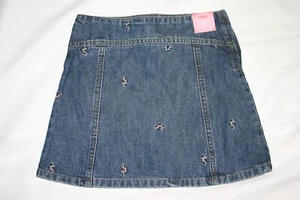 Gymboree WINTER PRINCESS Denim Skirt w/ Berry Floral Embroidery NWT Sz 3 4 - Picture 1 of 2