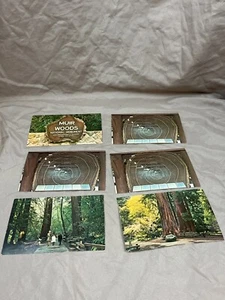 Tarjeta postal antigua vintage de PC del Monumento Nacional Muir Woods California CA - Imagen 1 de 5