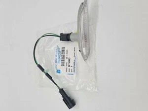 INDICADORES DE FLAUTA de protección VE HSV LHF NUEVO Genuino Holden Commodore VE INTERMITENTE VE - Imagen 1 de 1
