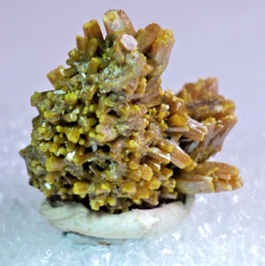 Pyromorphite Les Farges, France Thumbnail #M41 - Picture 1 of 5