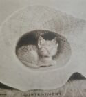 Vtg Rppc Cat Postcard Kitten Cat In Straw Hat Contentment O.C. Walden Unposted