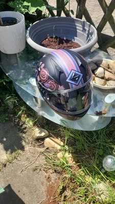 Exo Skorpion - Bild 1 von 3