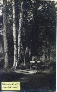 Lettland 1924 Baldone Serawoten Postkarte mit Baldone & Bauska Stempeln - Bild 1 von 2
