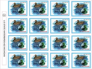 MICHIGAN STATE WATERBIRD - THE GRÖSSER SCAUP - 12 PRO BLATT - Bild 1 von 1
