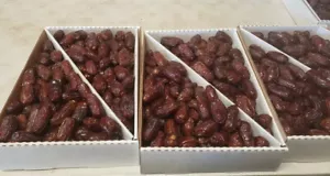 11-LBS LARGE FRESH MEDJOOL DATES. DELICIOUS ,PREMIUM AND JUICY. FREE SHIPPING. - Picture 1 of 2