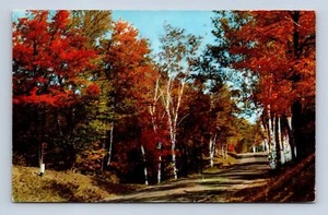 Postal de saludos de Kingston New York CK-272 sin publicar - Imagen 1 de 2