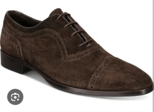 BRUNO MAGLI CLIO Brown Suede Shoes 7.5 - Picture 1 of 4