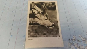 Bastbock Roessler caza postal 8417 - Imagen 1 de 2