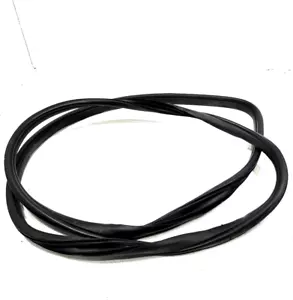 2018-2020 Acura TLX Front Left Driver Side Door Body Wheatherstrip Seal OEM - Foto 1 di 14