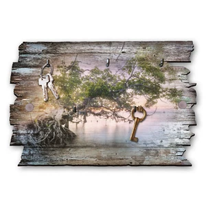 Zauberbaum Schlüsselbrett Hakenleiste Landhaus Shabby chic aus Holz 30x20cm - Bild 1 von 3