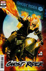 Ghost Rider Nr. 11 (2023), Variant Cover D, Neuware, new