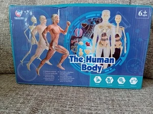 The Human Body Kit new, still sealed educational fun - Picture 1 of 5