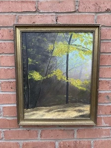 1970s Original Signed -  P.c.wood - Sunlit Forest Trees - Picture 1 of 8