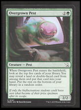 MTG Overgrown Pest 197 Common March of the Machine Card CB-1-2-A-48