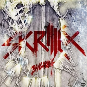Skrillex - Bangarang (12", EP, RSD, Ltd, 180) (Very Good Plus (VG+)) - 367637891 - Picture 1 of 5