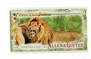 African Lion 2016 Topps Allen & Ginter Ferocious Felines Mini Insert #5