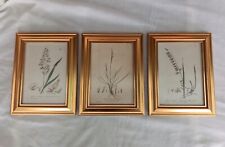 Baxter Antique Botanical Flower Prints Set Of 3 Grasses In Gold Frames 1885