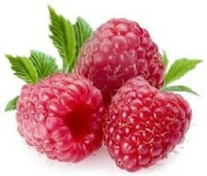 Chocolate Raspberry Handmade 8oz Leaf Tea - Picture 1 of 9
