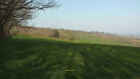 Photo 12x8 View from edge of Beacon Park Plantation Ash Hill/SX9173 Actua c2022