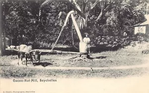 SEYCHELLES - Mulino per noci di cacao - Publ. S. Ohashi - Foto 1 di 2