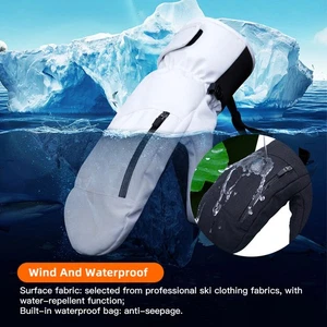 Adjustable Snowboard Mittens with 5-Finger Warmth & Touchscreen Use - Picture 1 of 5