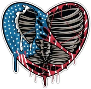 USA America Heart Ribs Love Patriotic Car Bumper Window Sticker Decal 4.6" - Bild 1 von 1