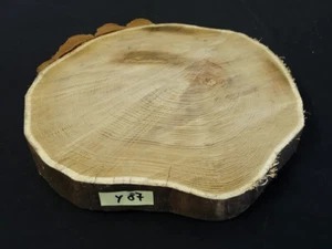 Akazie Robine Baumscheibe Holzscheibe Frühstücksbrettchen Hochzeit basteln Deko - Bild 1 von 2