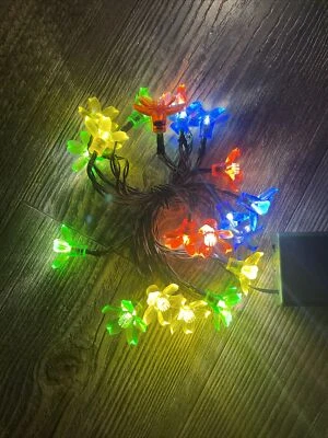 20ct Indoor Flower String Lights 7ft Fairy Lights Decorations For Any Occasion - Image 1 of 4
