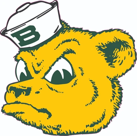 Baylor Bear Inspired Full Size Football Helmet Decals Cover