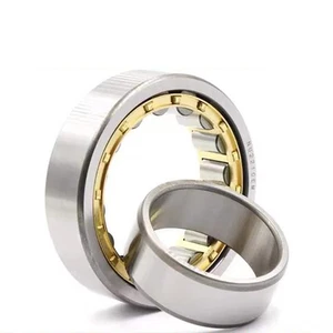 Rodamientos de rodillos cilíndricos serie NU 204-213EM ?20-65 mm rodamiento jaula de acero - Imagen 1 de 22