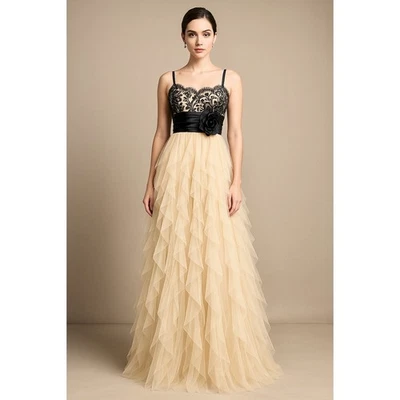 Romántico Vestido de Noche Gótico Imperio Negro Encaje En Niveles Tul Roseta Formal 5/6   Foto 1 de 4